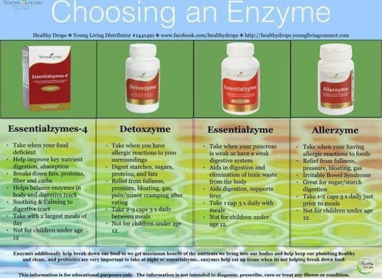 ENZYMES